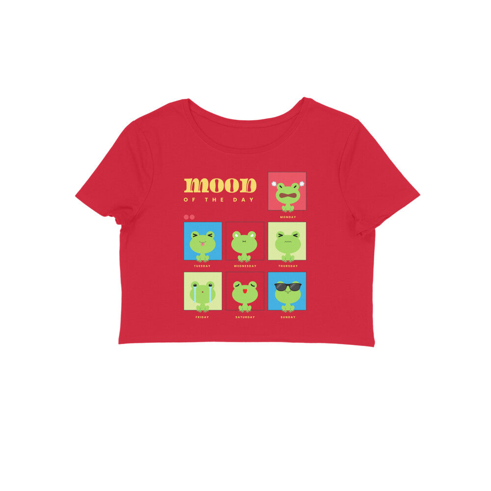 Front View - 5748881